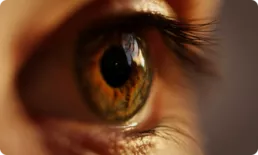 eye test 3 uai